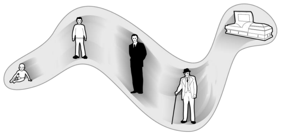 4d-individuum